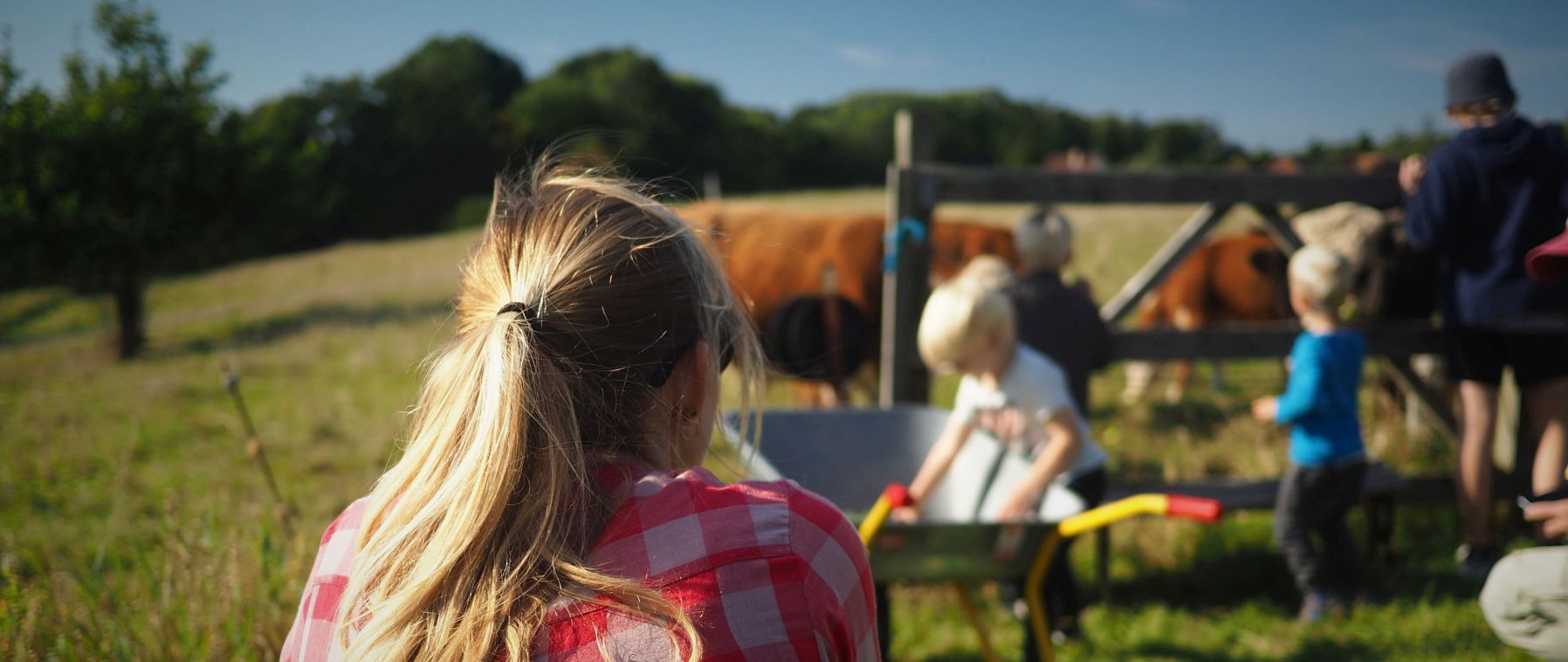Kvinde iagttager legende børn og kalve