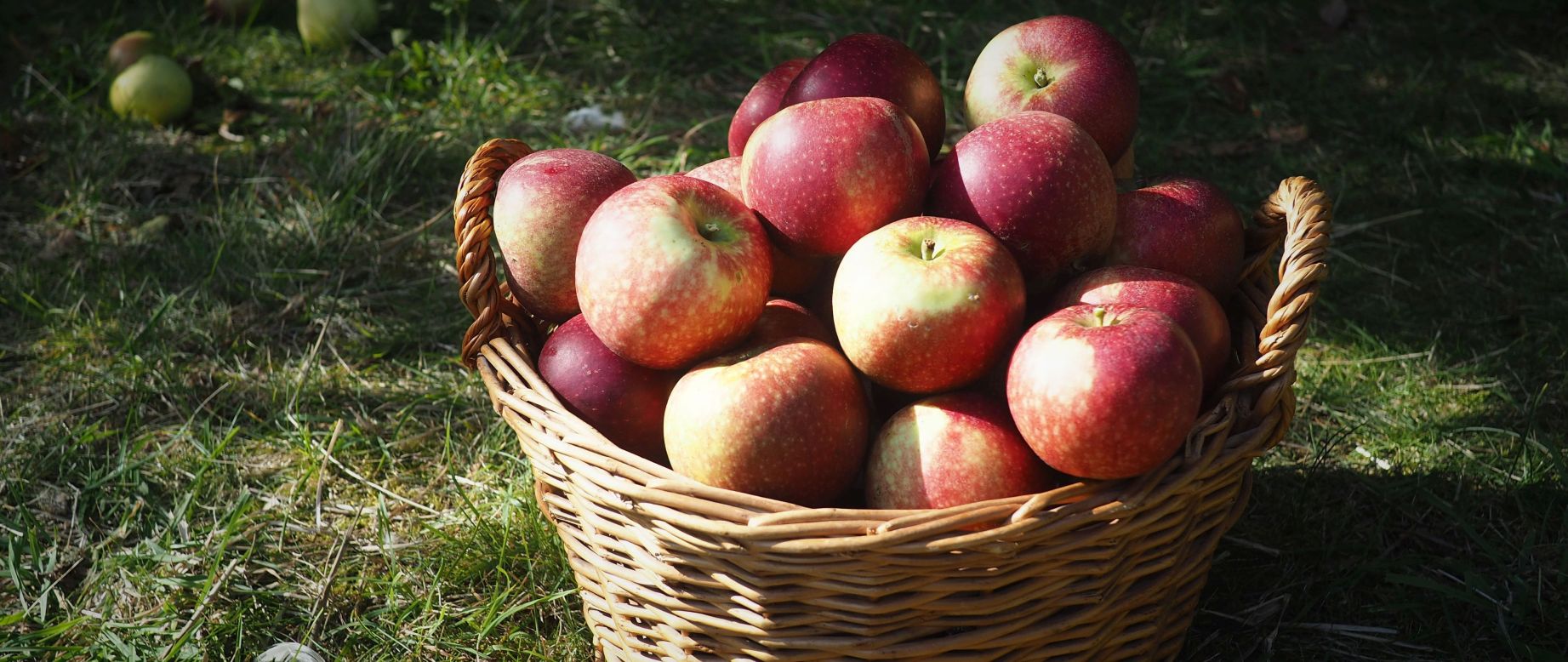 Æbler i kurv